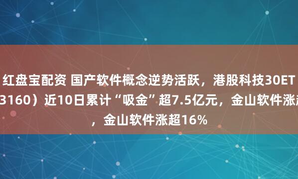 红盘宝配资 国产软件概念逆势活跃，港股科技30ETF（513160）近10日累计“吸金”超7.5亿元，金山软件涨超16%