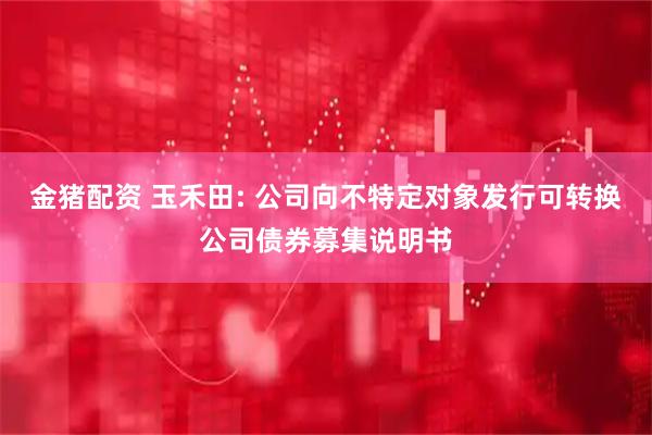 金猪配资 玉禾田: 公司向不特定对象发行可转换公司债券募集说明书