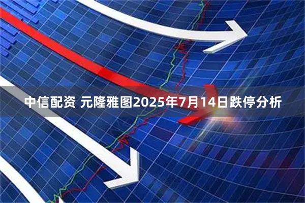 中信配资 元隆雅图2025年7月14日跌停分析
