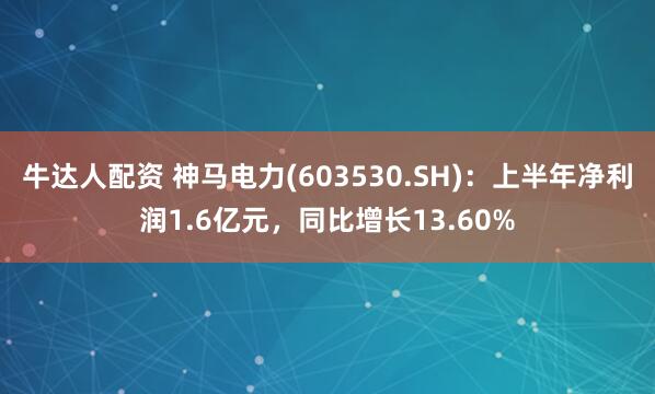 牛达人配资 神马电力(603530.SH)：上半年净利润1.6亿元，同比增长13.60%